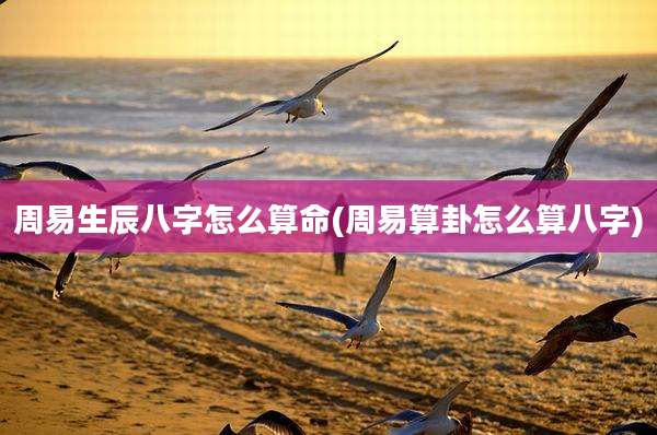 周易生辰八字怎么算命(周易算卦怎么算八字)