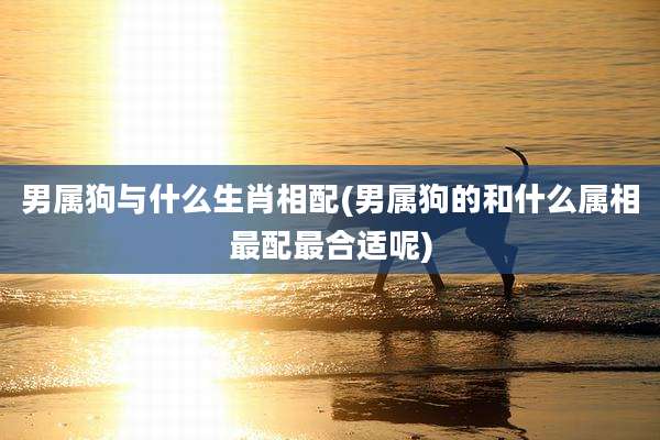 男属狗与什么生肖相配(男属狗的和什么属相最配最合适呢)