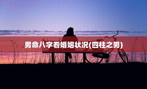 男命八字看婚姻状况(四柱之男)