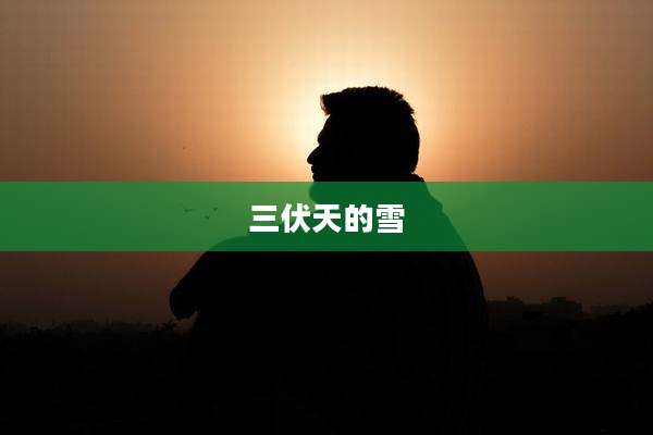 三伏天的雪