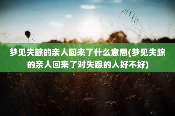 梦见失踪的亲人回来了什么意思(梦见失踪的亲人回来了对失踪的人好不好)