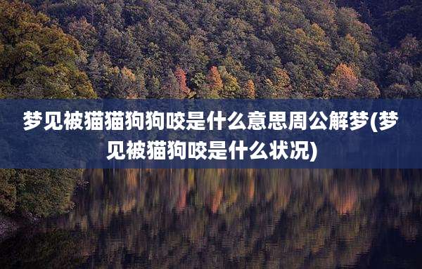 梦见被猫猫狗狗咬是什么意思周公解梦(梦见被猫狗咬是什么状况)