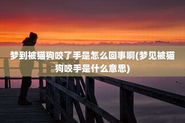 梦到被猫狗咬了手是怎么回事啊(梦见被猫狗咬手是什么意思)