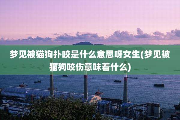 梦见被猫狗扑咬是什么意思呀女生(梦见被猫狗咬伤意味着什么)