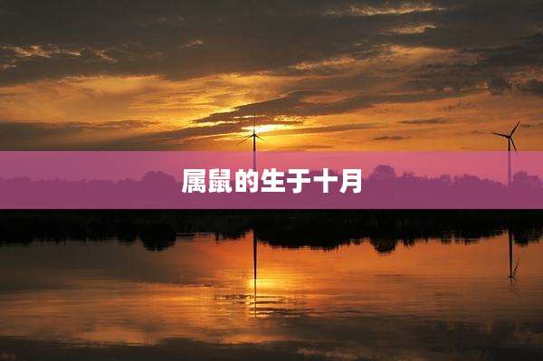 属鼠的生于十月