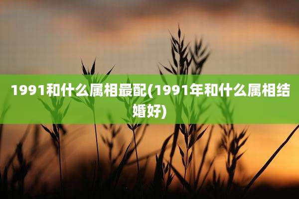 1991和什么属相最配(1991年和什么属相结婚好)