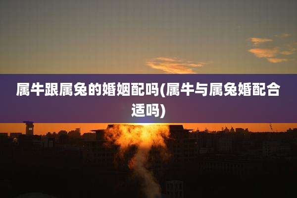 属牛跟属兔的婚姻配吗(属牛与属兔婚配合适吗)
