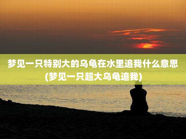 梦见一只特别大的乌龟在水里追我什么意思(梦见一只超大乌龟追我)