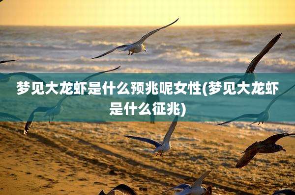 梦见大龙虾是什么预兆呢女性(梦见大龙虾是什么征兆)