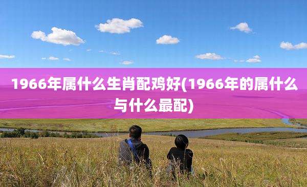 1966年属什么生肖配鸡好(1966年的属什么与什么最配)