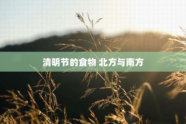 清明节的食物 北方与南方