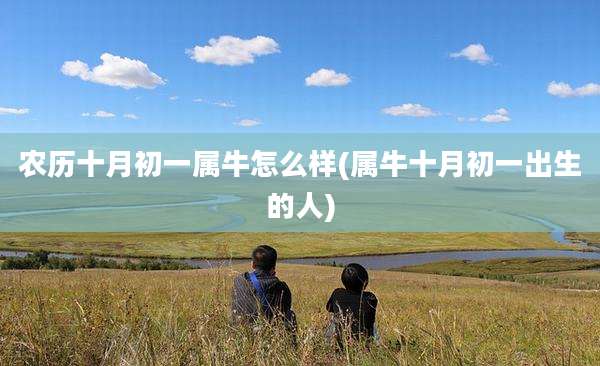 农历十月初一属牛怎么样(属牛十月初一出生的人)