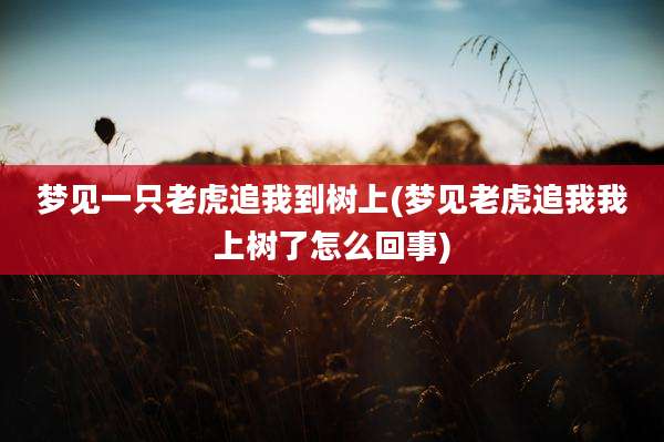 梦见一只老虎追我到树上(梦见老虎追我我上树了怎么回事)