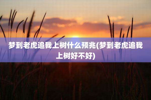 梦到老虎追我上树什么预兆(梦到老虎追我上树好不好)