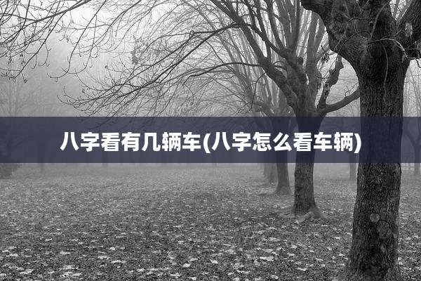 八字看有几辆车(八字怎么看车辆)