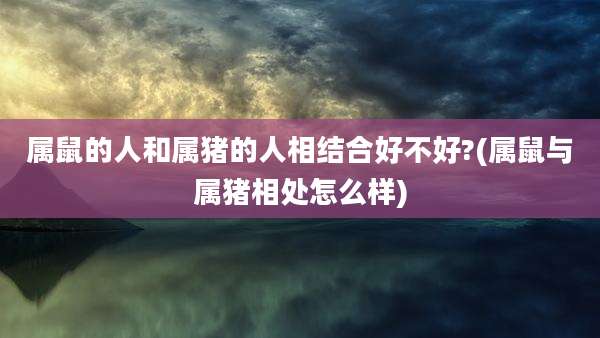 属鼠的人和属猪的人相结合好不好?(属鼠与属猪相处怎么样)