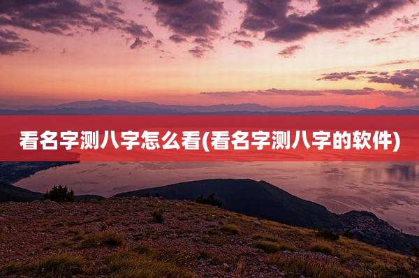 看名字测八字怎么看(看名字测八字的软件)