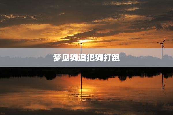 梦见狗追把狗打跑