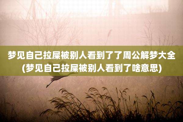 梦见自己拉屎被别人看到了了周公解梦大全(梦见自己拉屎被别人看到了啥意思)