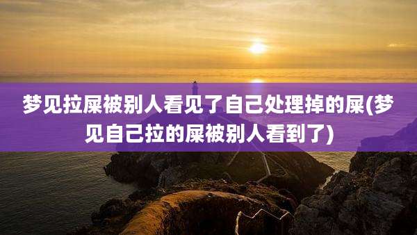 梦见拉屎被别人看见了自己处理掉的屎(梦见自己拉的屎被别人看到了)
