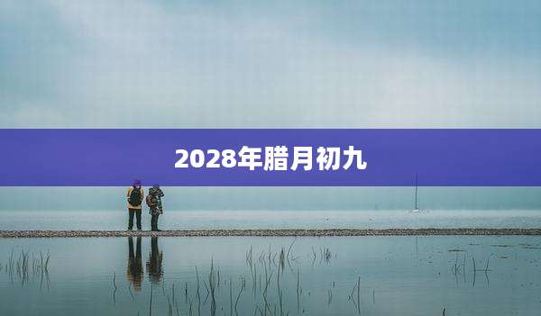 2028年腊月初九