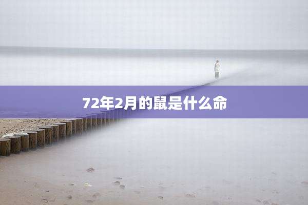 72年2月的鼠是什么命