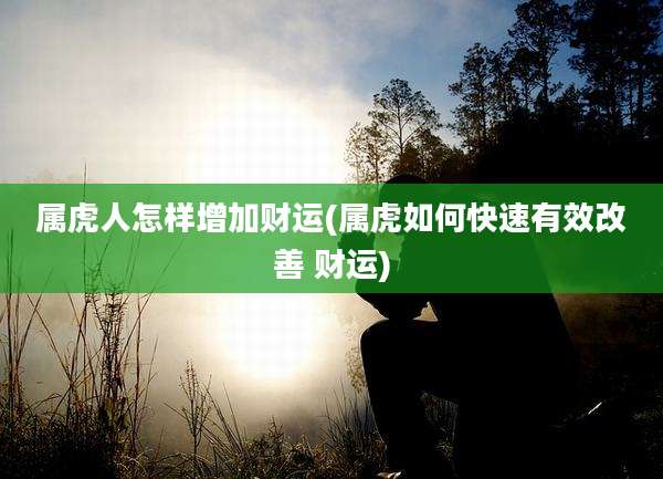 属虎人怎样增加财运(属虎如何快速有效改善 财运)