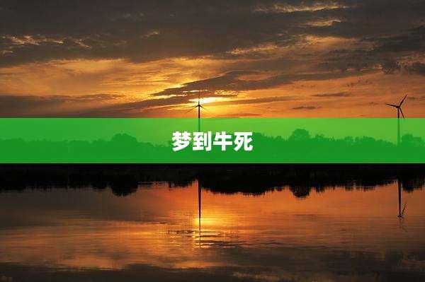 梦到牛死
