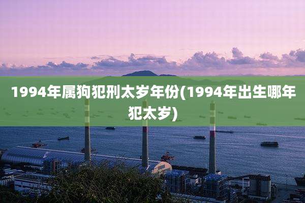 1994年属狗犯刑太岁年份(1994年出生哪年犯太岁)