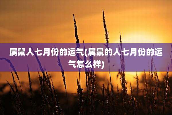 属鼠人七月份的运气(属鼠的人七月份的运气怎么样)