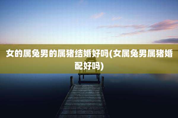 女的属兔男的属猪结婚好吗(女属兔男属猪婚配好吗)