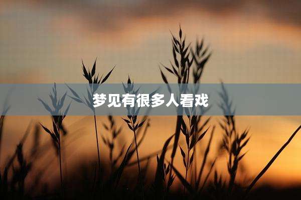 梦见有很多人看戏