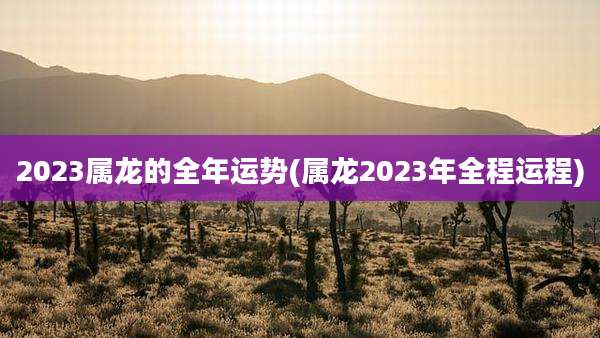2023属龙的全年运势(属龙2023年全程运程)