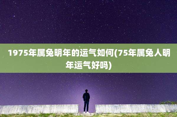 1975年属兔明年的运气如何(75年属兔人明年运气好吗)