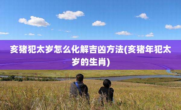 亥猪犯太岁怎么化解吉凶方法(亥猪年犯太岁的生肖)
