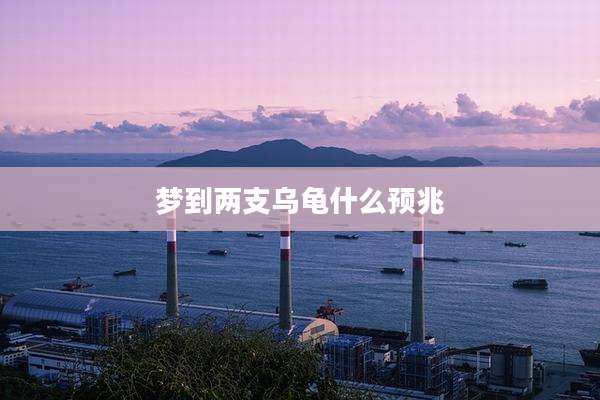 梦到两支乌龟什么预兆