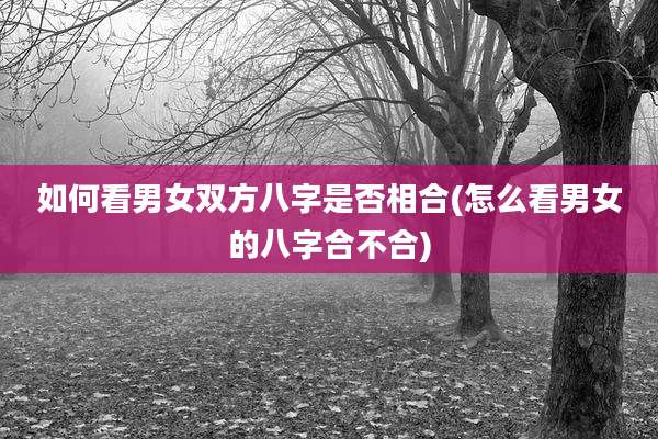如何看男女双方八字是否相合(怎么看男女的八字合不合)