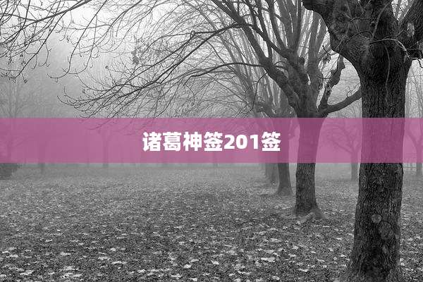 诸葛神签201签