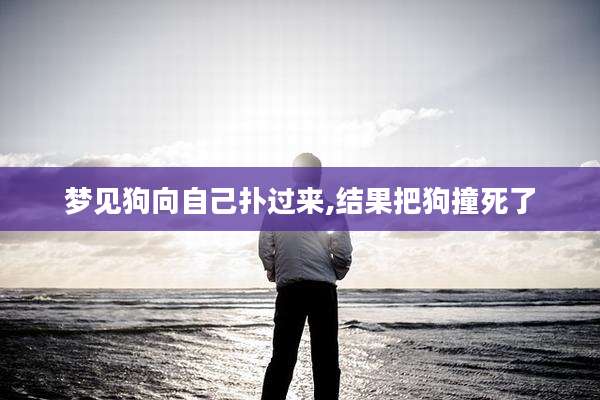 梦见狗向自己扑过来,结果把狗撞死了