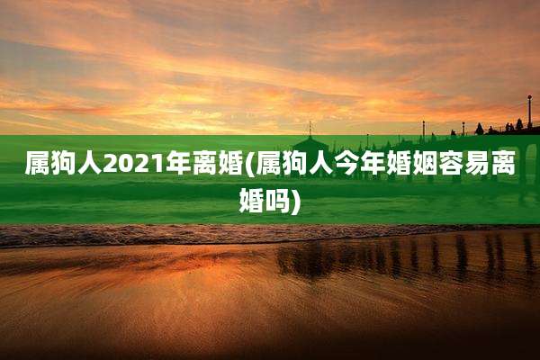 属狗人2021年离婚(属狗人今年婚姻容易离婚吗)