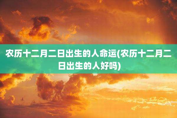 农历十二月二日出生的人命运(农历十二月二日出生的人好吗)
