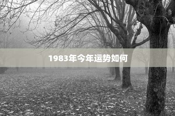 1983年今年运势如何