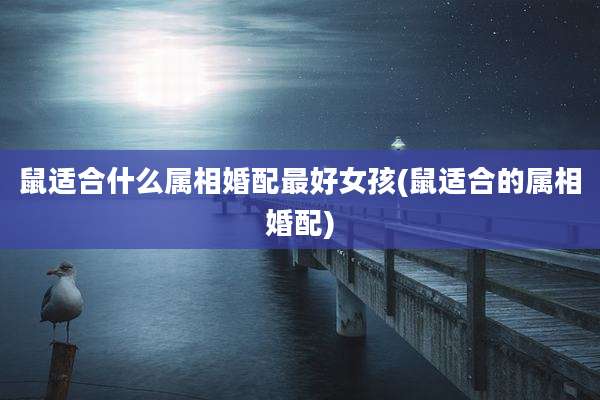 鼠适合什么属相婚配最好女孩(鼠适合的属相婚配)