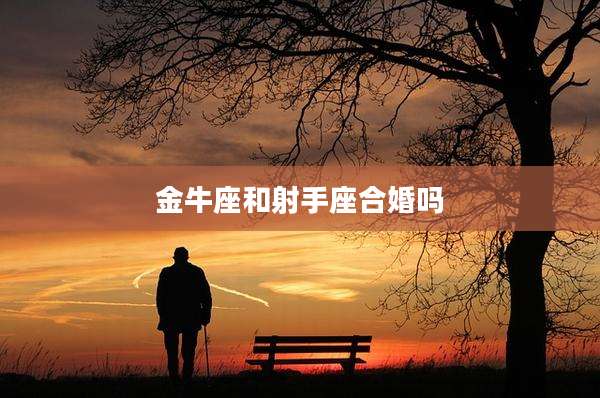 金牛座和射手座合婚吗