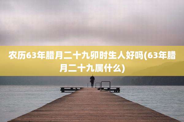 农历63年腊月二十九卯时生人好吗(63年腊月二十九属什么)