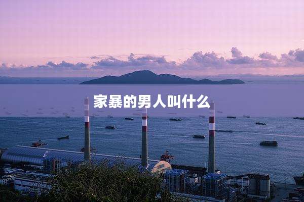 家暴的男人叫什么