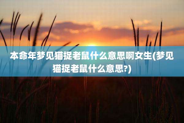 本命年梦见猫捉老鼠什么意思啊女生(梦见猫捉老鼠什么意思?)
