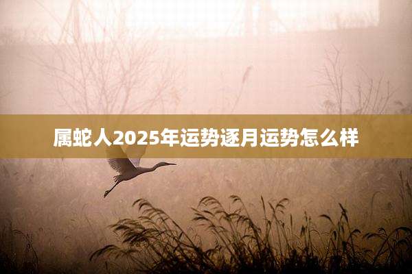 属蛇人2025年运势逐月运势怎么样