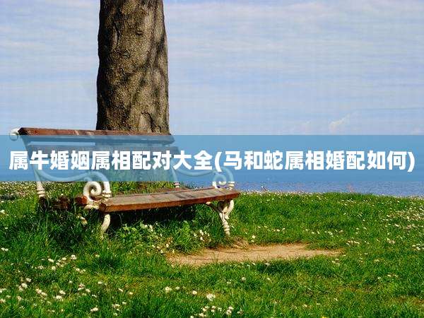 属牛婚姻属相配对大全(马和蛇属相婚配如何)