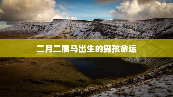 二月二属马出生的男孩命运